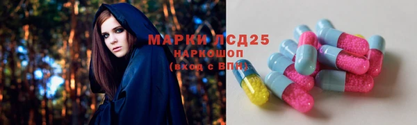 мяу мяу мука Алзамай