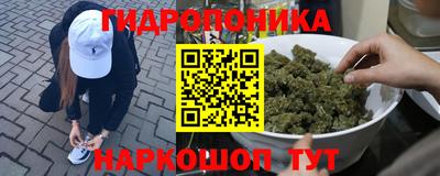 прущая мука Гатчина