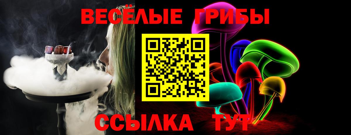 Галлюциногенные грибы Cubensis Углич